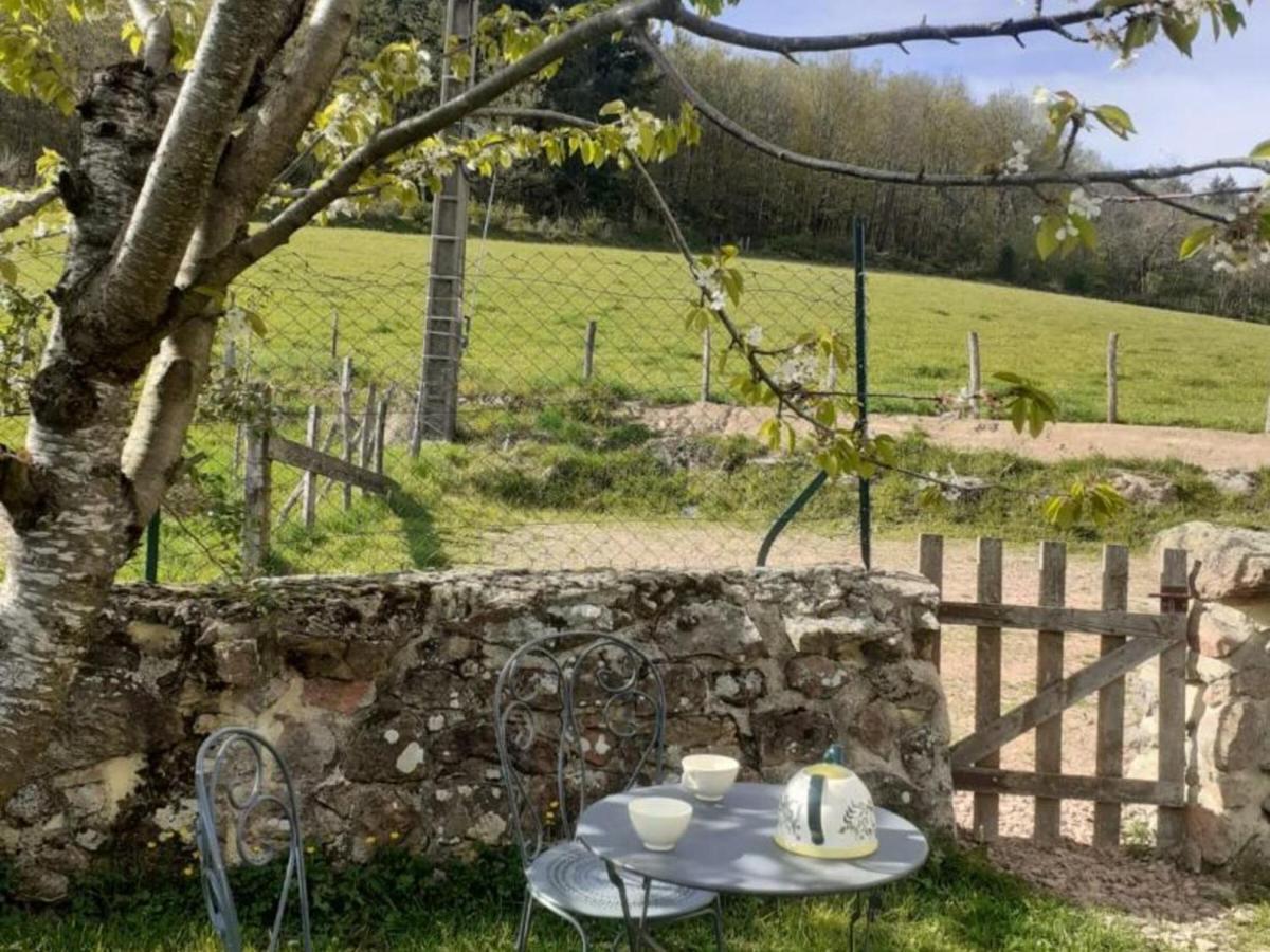 Gite De Charme Avec Jardin, Terrasse Et Poele A Bois En Pleine Nature - Fr-1-496-250 Villa Sevelinges Exterior photo